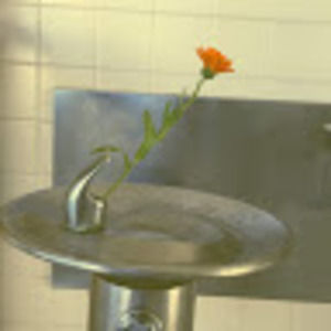 Meet your Posher, Violet